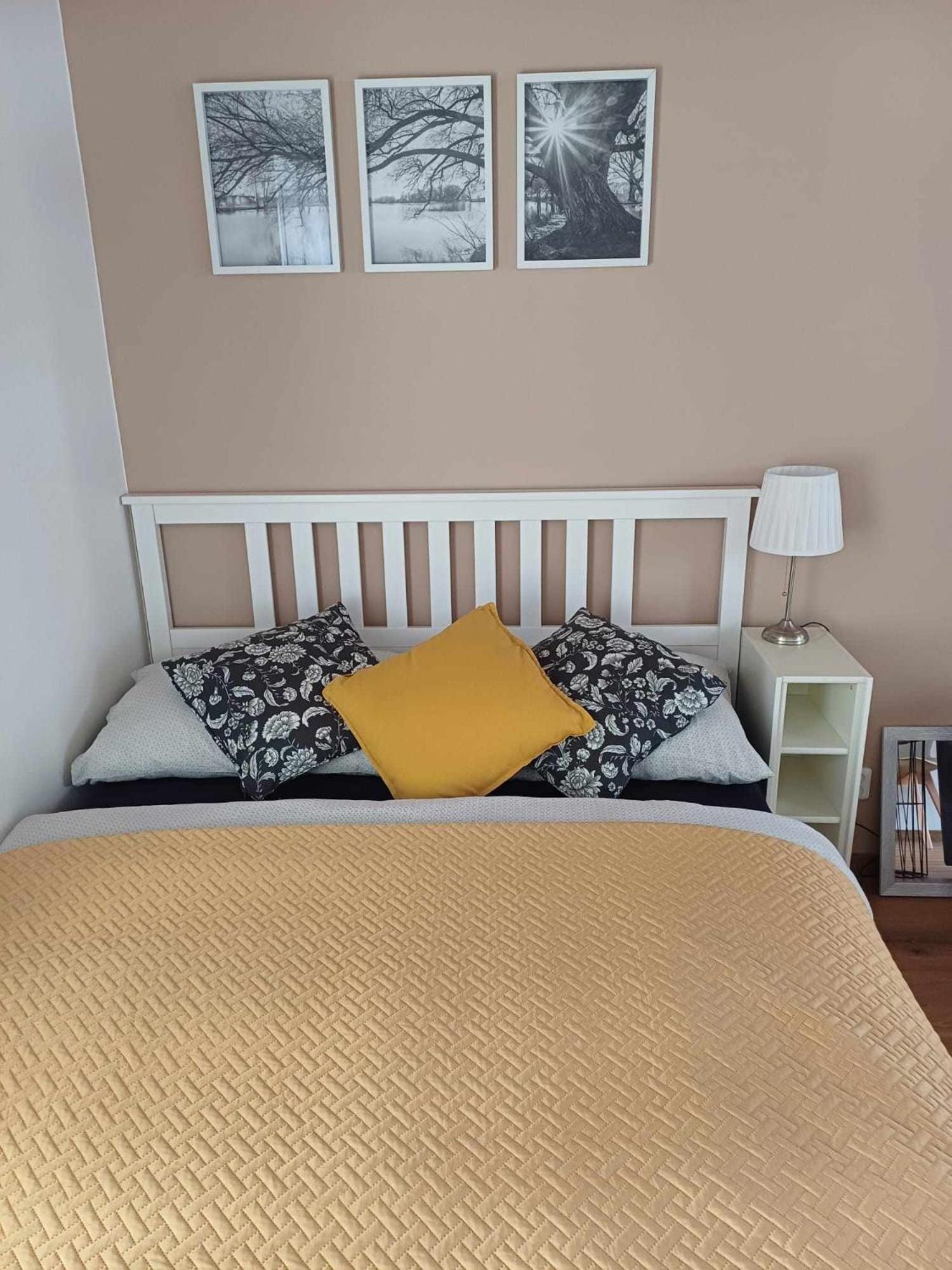 Apartment Machovo Jezero *